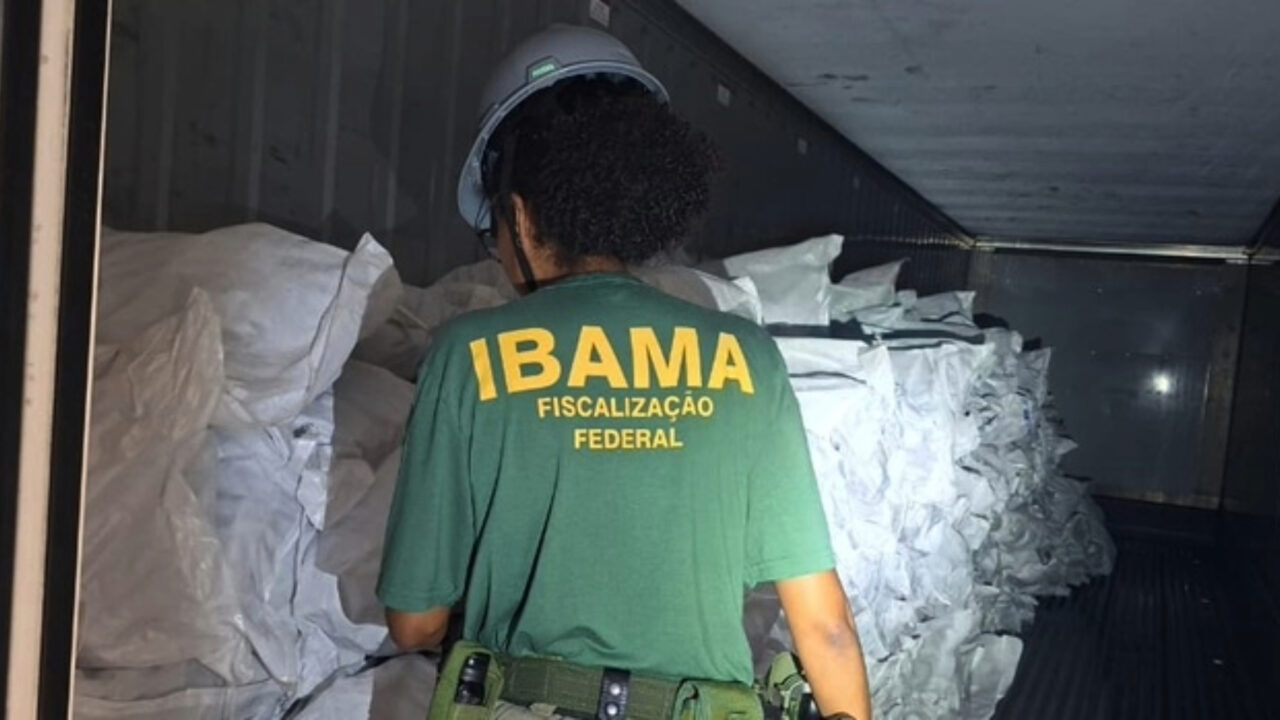 Ibama aplica multa de R$ 50 milhões empresa que exportaria ilegalmente 17 toneladas de barbatanas de tubarão