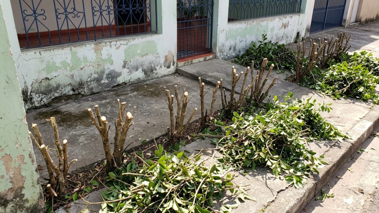 Jardineiros cortam a cerca viva de uma casa por engano, e empresa afirma que seguiu a foto enviada por quem contratou o serviço