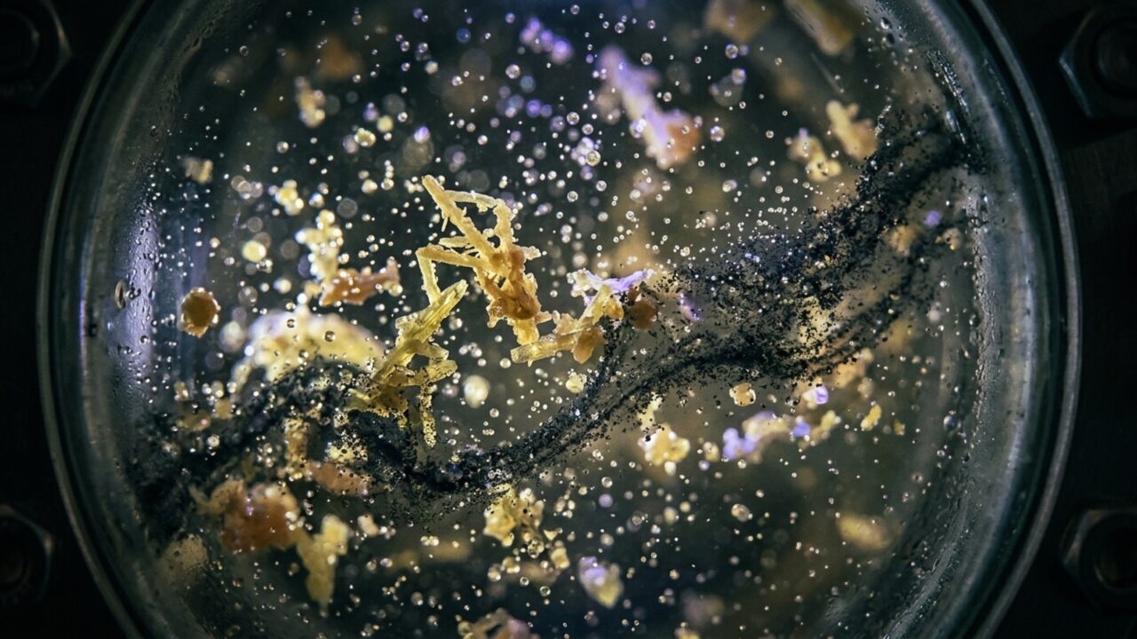 As nuvens claras de Vênus escondem manchas que absorvem luz demais: cálculo reacende um mistério atmosférico que já dura um século