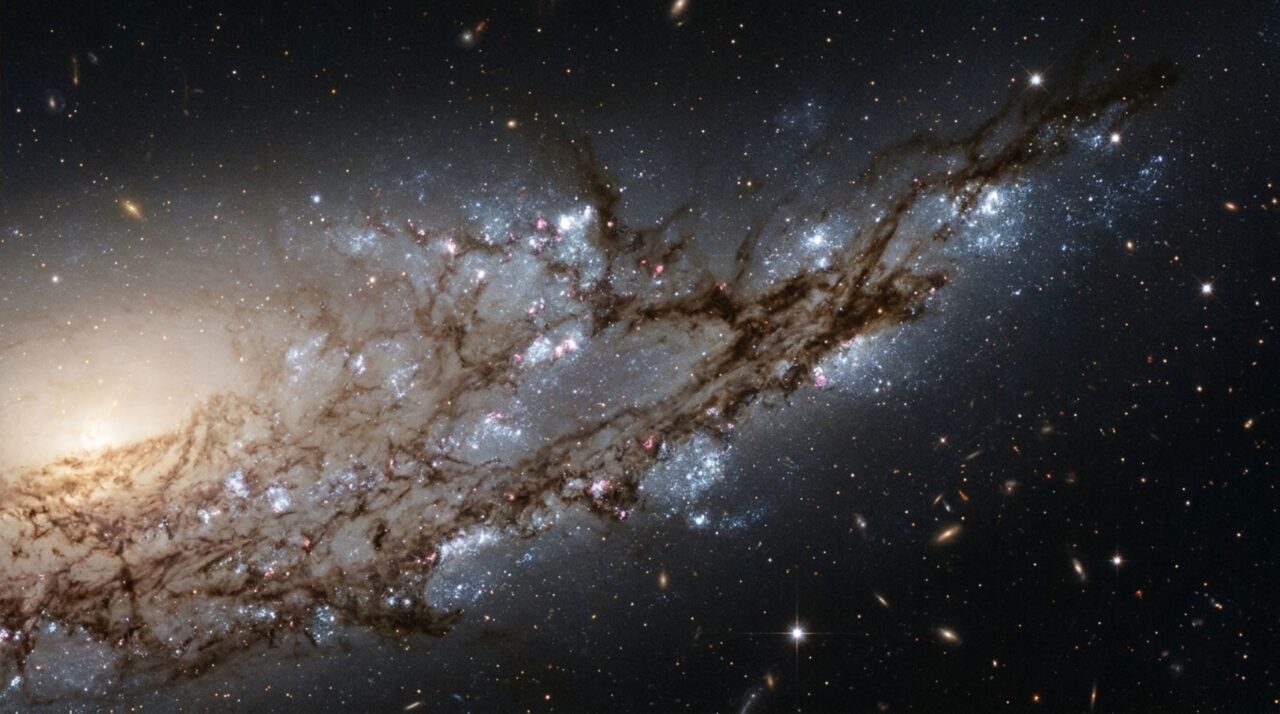 O braço alongado de Arp 78 reúne estrelas jovens e faixas de poeira, oferecendo pistas sobre os efeitos das interações gravitacionais na evolução das galáxias