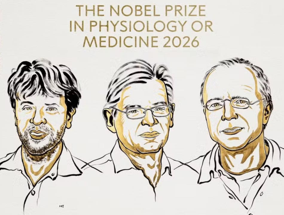 Nobel de Medicina premia estudo sobre atividade neuronal