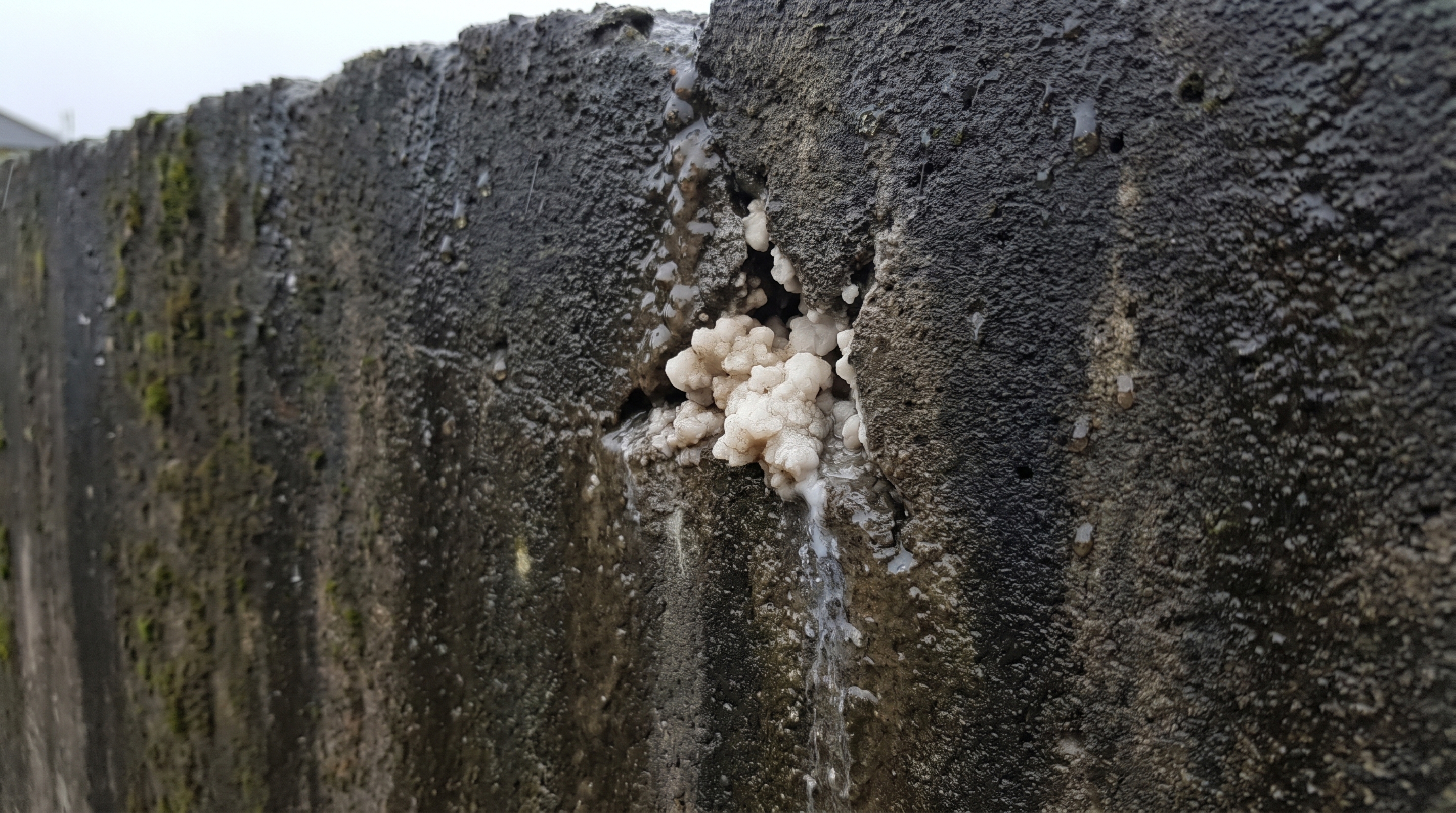 Concreto que parecia condenado por pequenas fissuras pode receber bactérias adormecidas que entram em ação quando a água alcança a rachadura