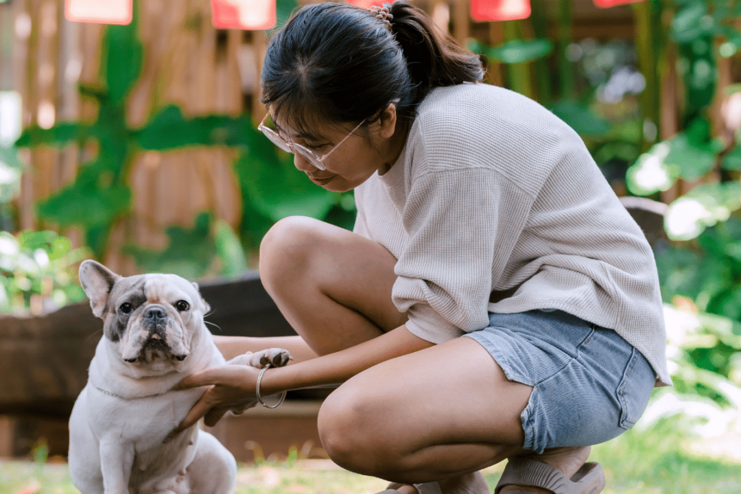 Seu cão não para de lamber as patas? Conheça 5 causas além da “mania”