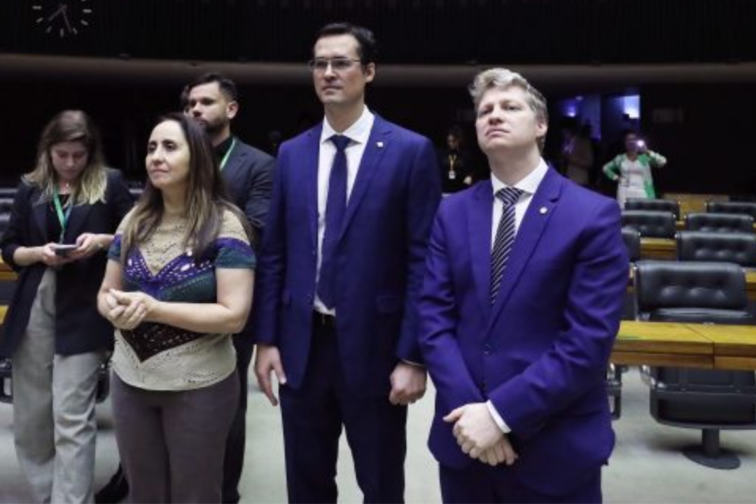 Novo supera cláusula de barreira e elege 13 parlamentares