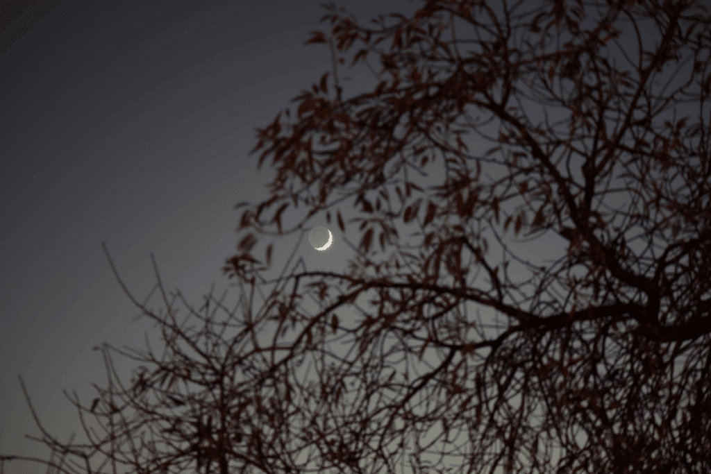Lua hoje: veja qual é a fase lunar desta segunda-feira, 05 de outubro de 2026